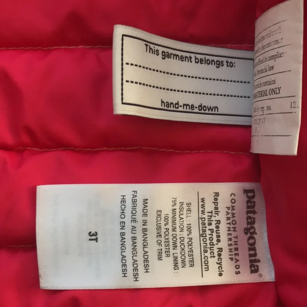 Patagonia Puffer Jacket (size 3T)